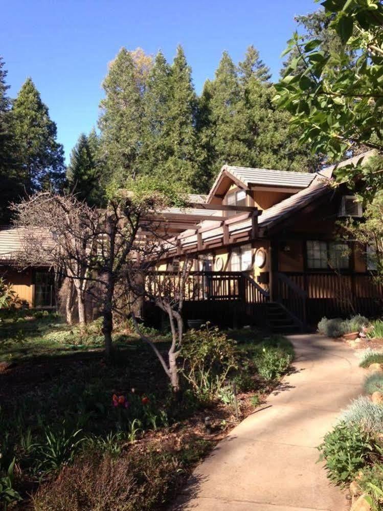 Harmony Ridge Lodge Невада Сити Екстериор снимка